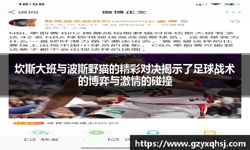 坎斯大班与波斯野猫的精彩对决揭示了足球战术的博弈与激情的碰撞