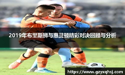 2019年布里斯狮与惠灵顿精彩对决回顾与分析