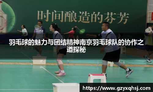 羽毛球的魅力与团结精神南京羽毛球队的协作之道探秘